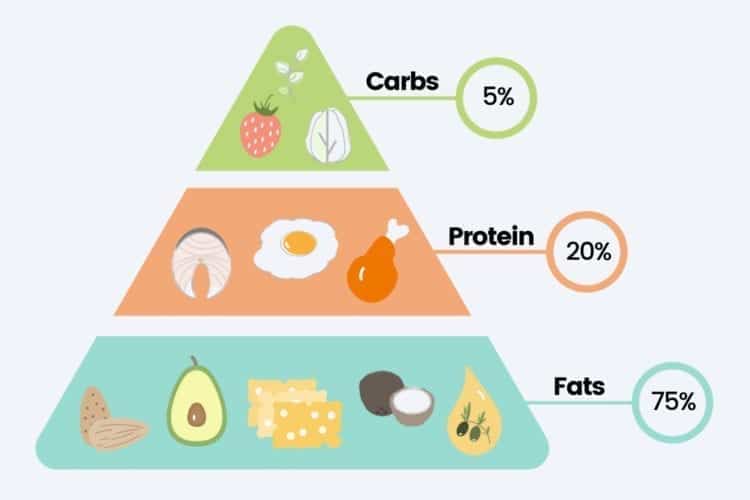 19-Day Keto Diet Plan for Beginners with Easy Recipes Keto Diet Outline