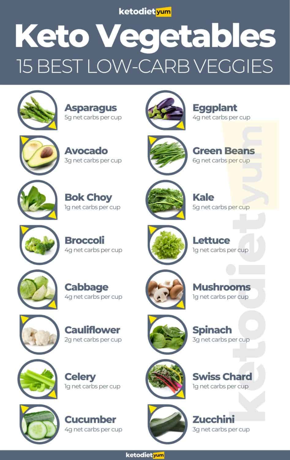 Keto Vegetables: 15 Healthy & Nutritious Vegetables
