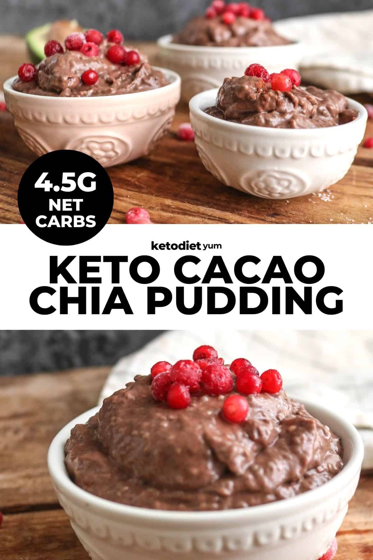 Best Keto Cacao Chia Pudding Recipe