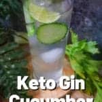 Keto Cucumber Gin Cocktail (Easy and Refreshing)