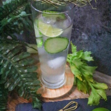 Best Keto Cucumber Gin Cocktail