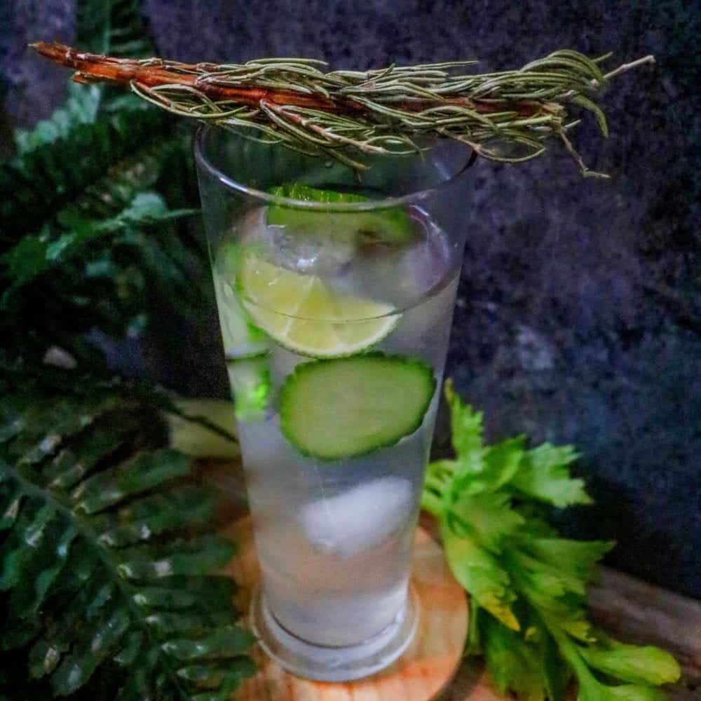 Keto Cucumber Gin Cocktail (Easy and Refreshing) Keto Cucumber Gin Cocktail (Easy and Refreshing)
