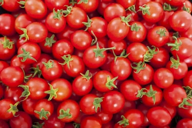 Are Cherry Tomatoes Keto