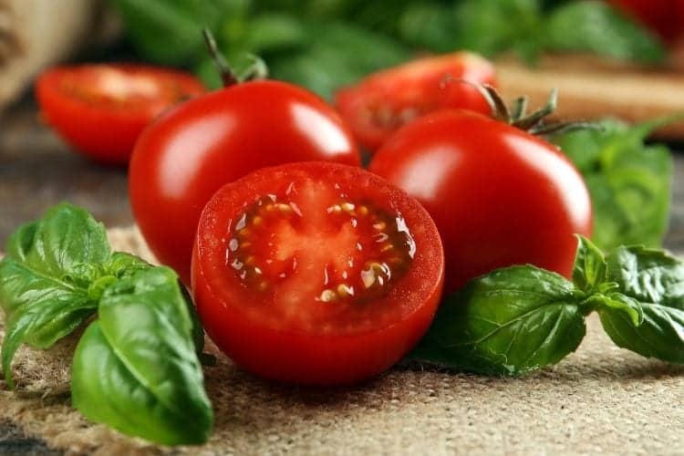 Are Tomatoes Keto? Can I Eat Tomatoes On Keto?