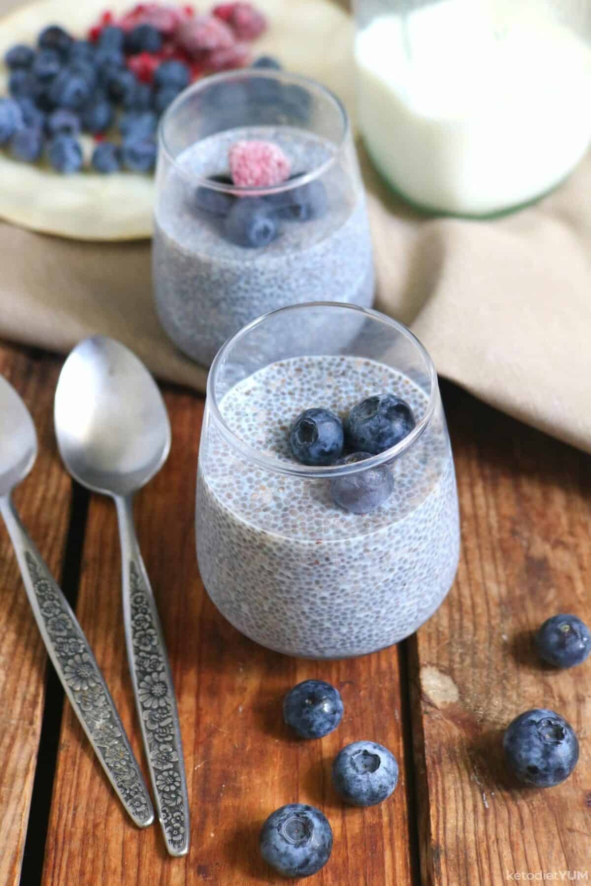 Easy Keto Chia Pudding Recipe (low carb)