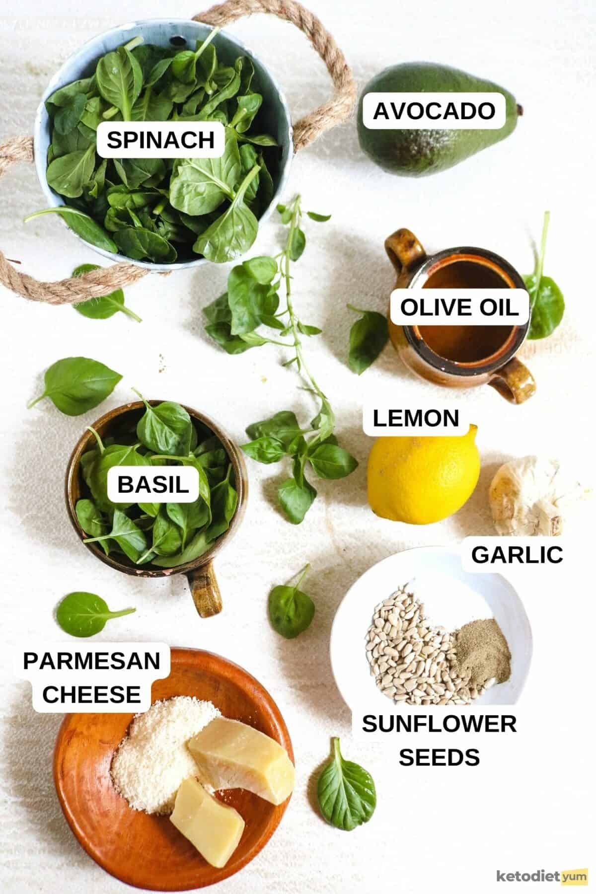 Best Keto Pesto Recipe Ingredients