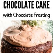 Best Keto Chocolate Cake