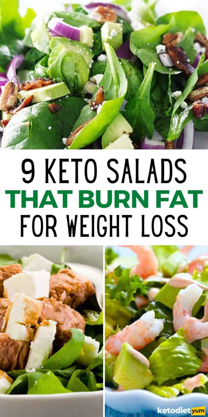 28 High Protein Keto Salads – Fresh, Flavorful & Perfect for Weight Loss
