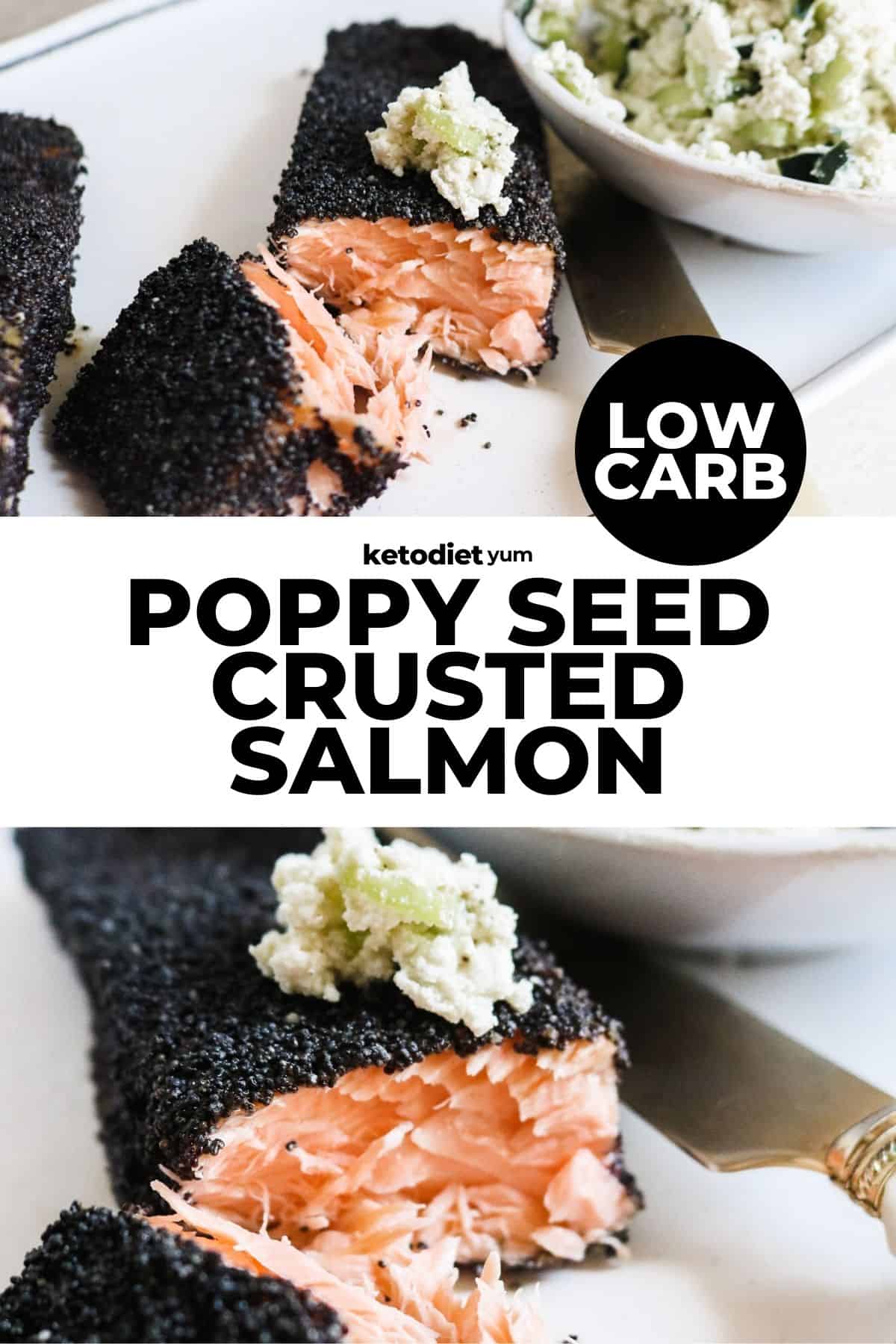 Best Keto Poppy Seed Crusted Salmon Recipe