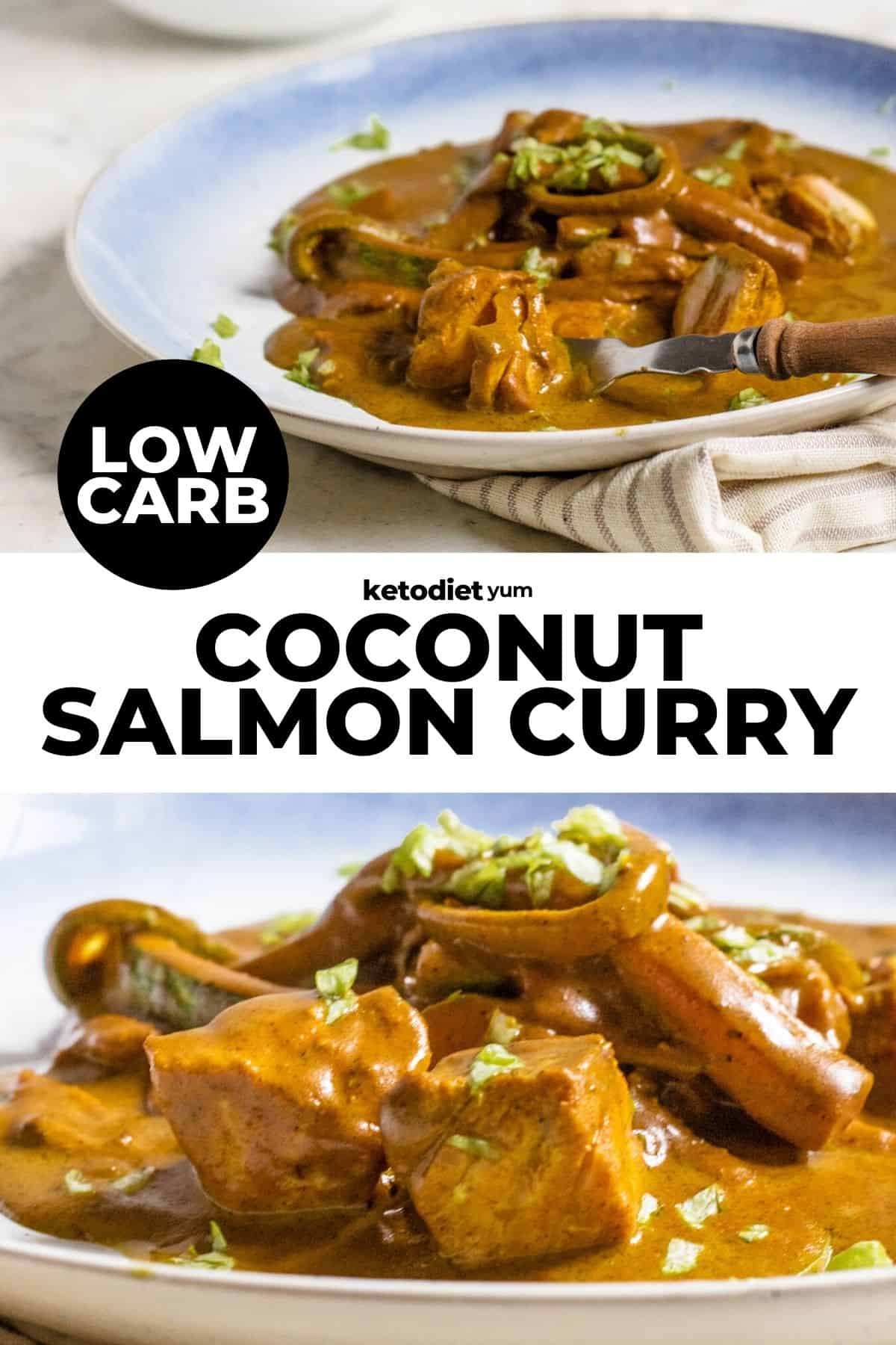 Best Coconut Salmon Curry Recipe