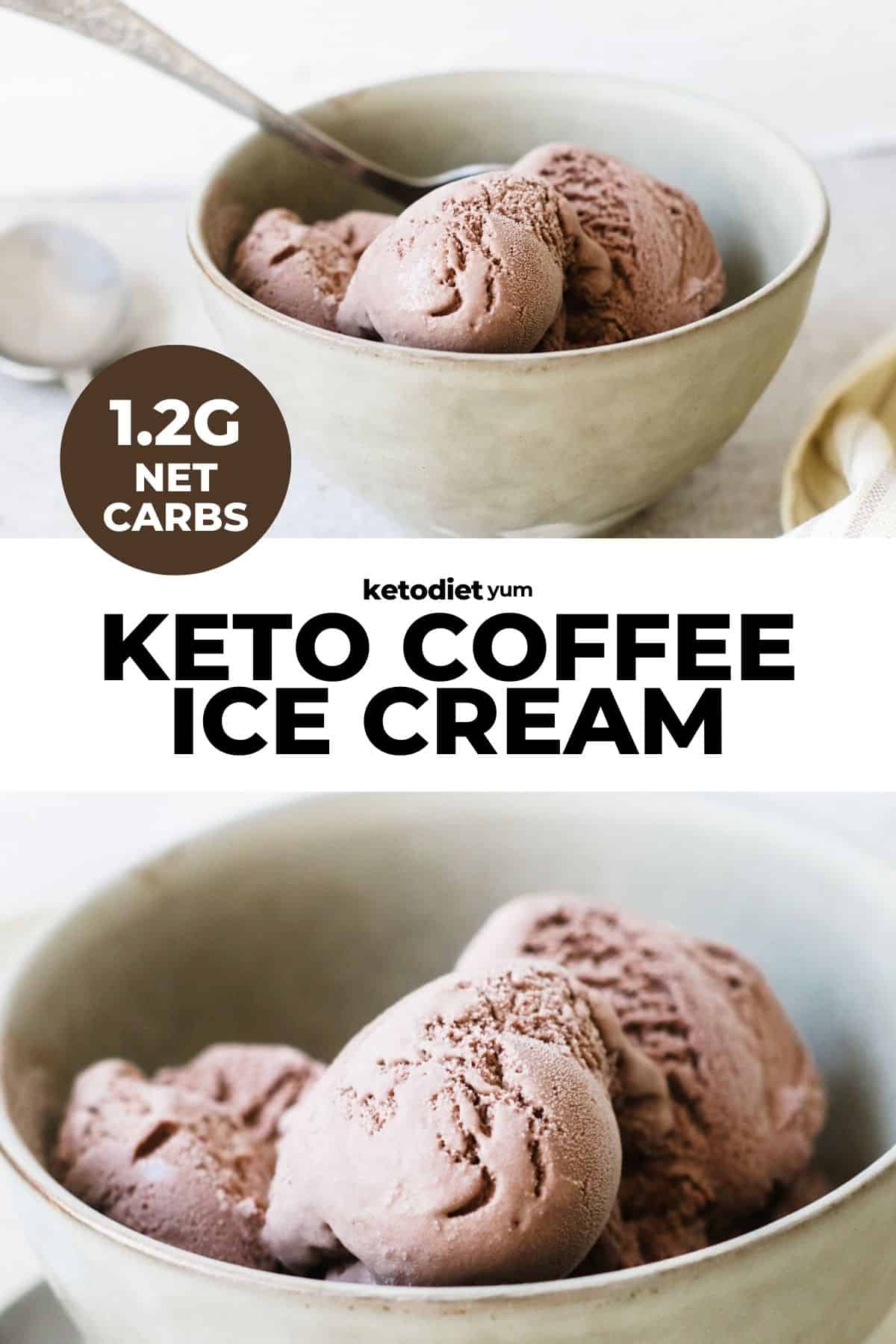 Best Keto Coffee Ice Cream Recipe