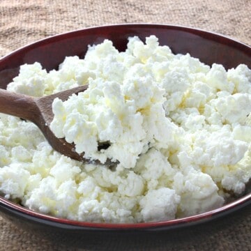 The Cheesy Truth: A Peek on What's in Cottage Cheese