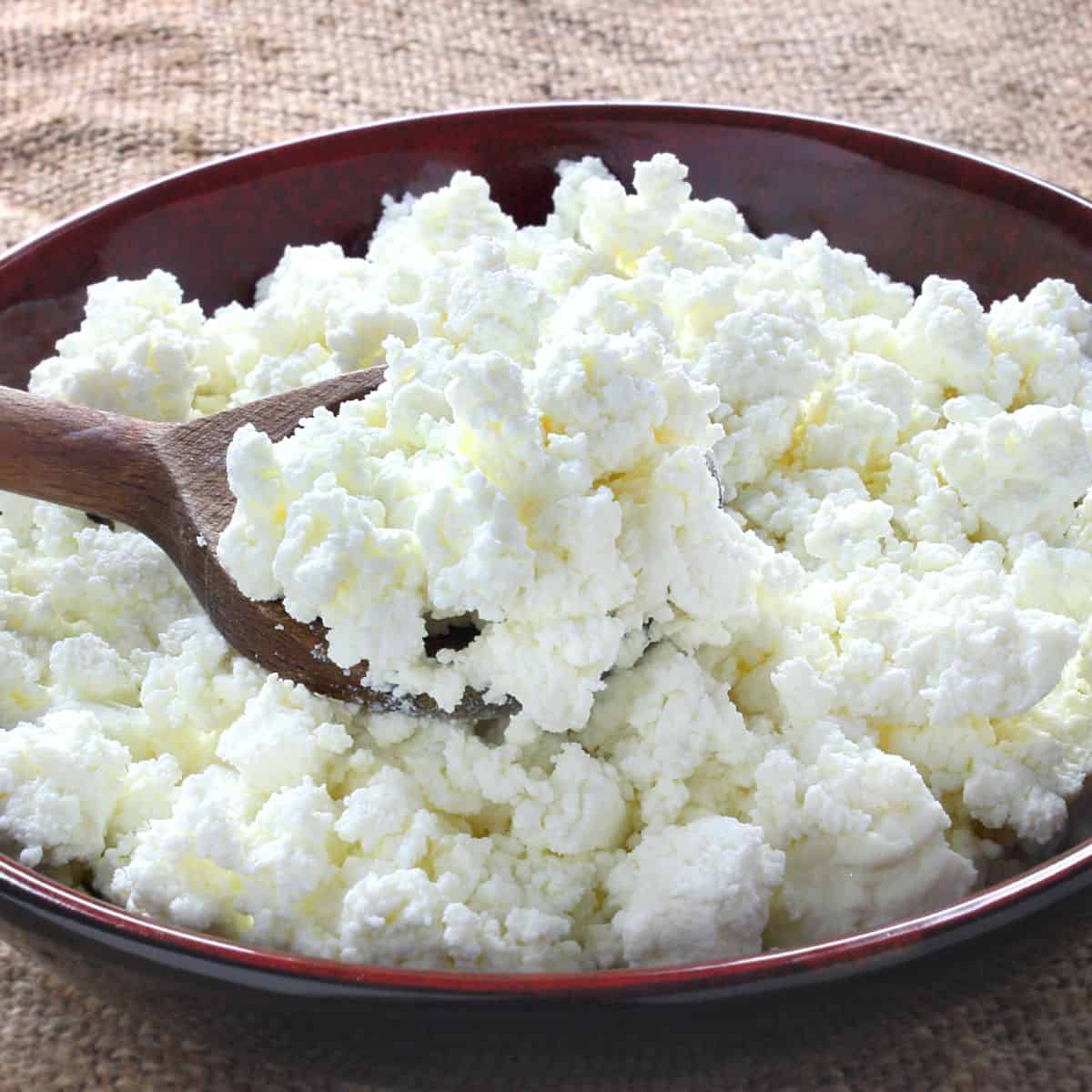 A Peek on What's in Cottage Cheese