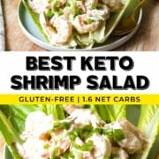 Best Keto Shrimp Salad Recipe