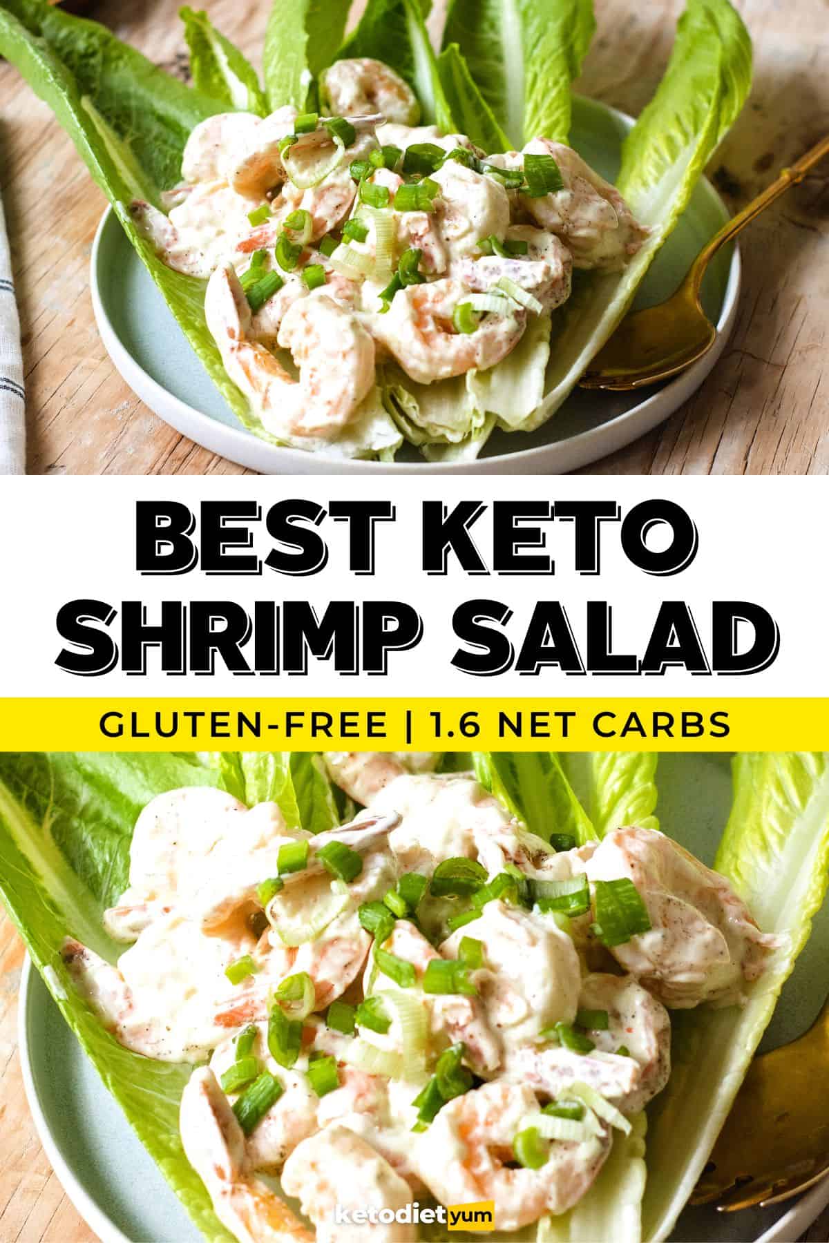 Best Keto Shrimp Salad Recipe
