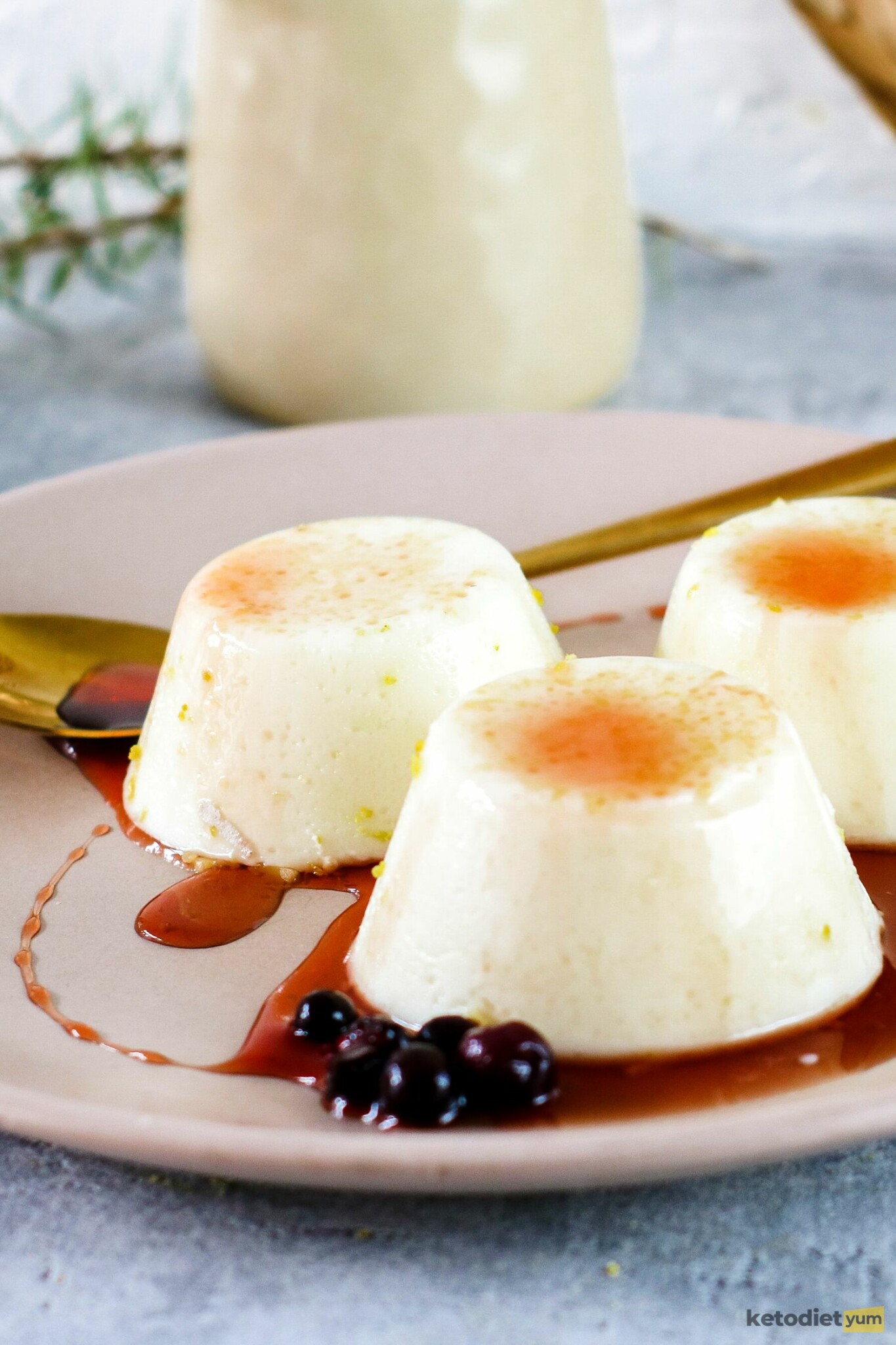 Keto Panna Cotta With Berry Sauce (LowCarb, SugarFree)