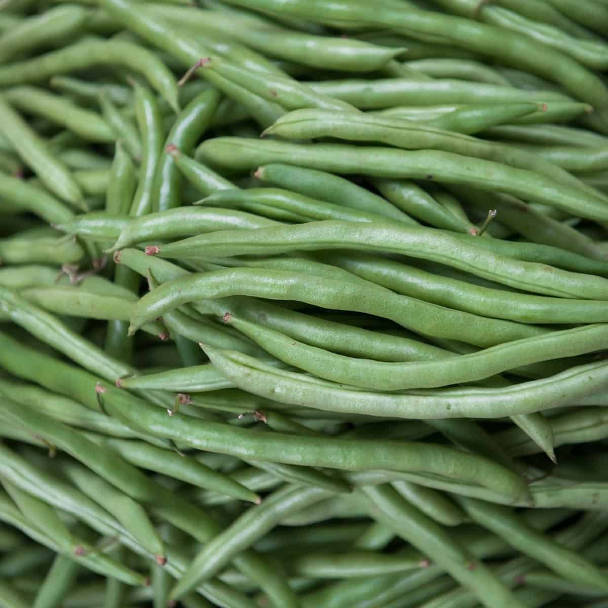 green beans