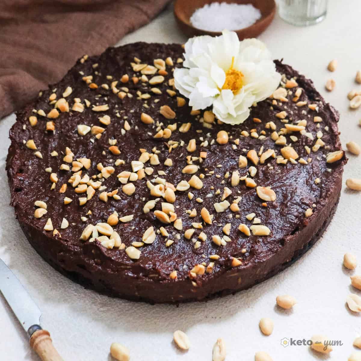 Chocolate Avocado Cake