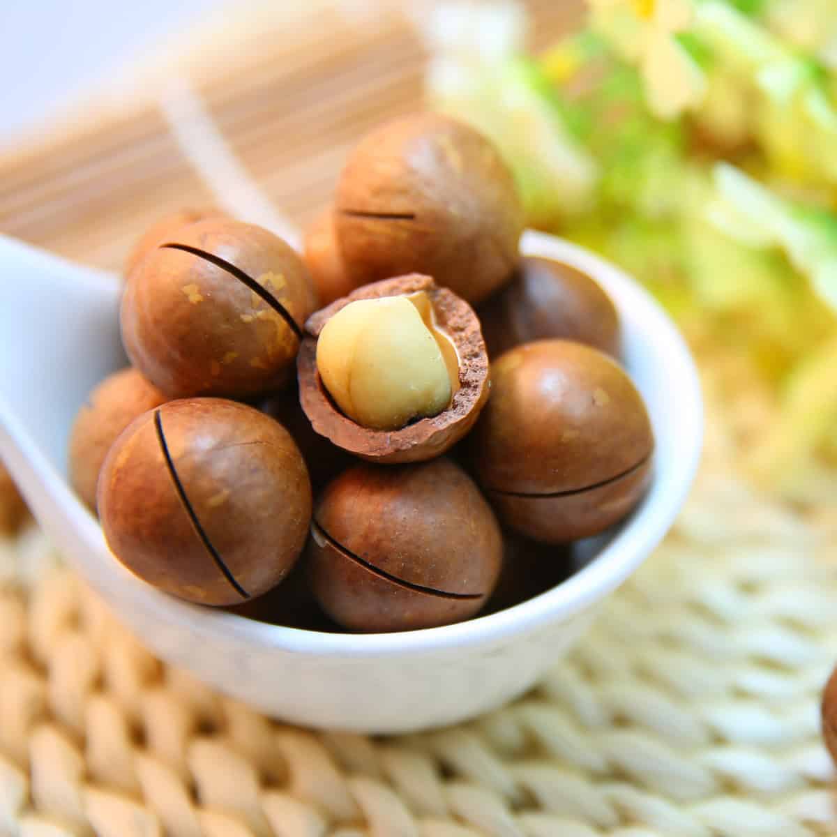 A bowl filled with macadamia nuts and a spoon