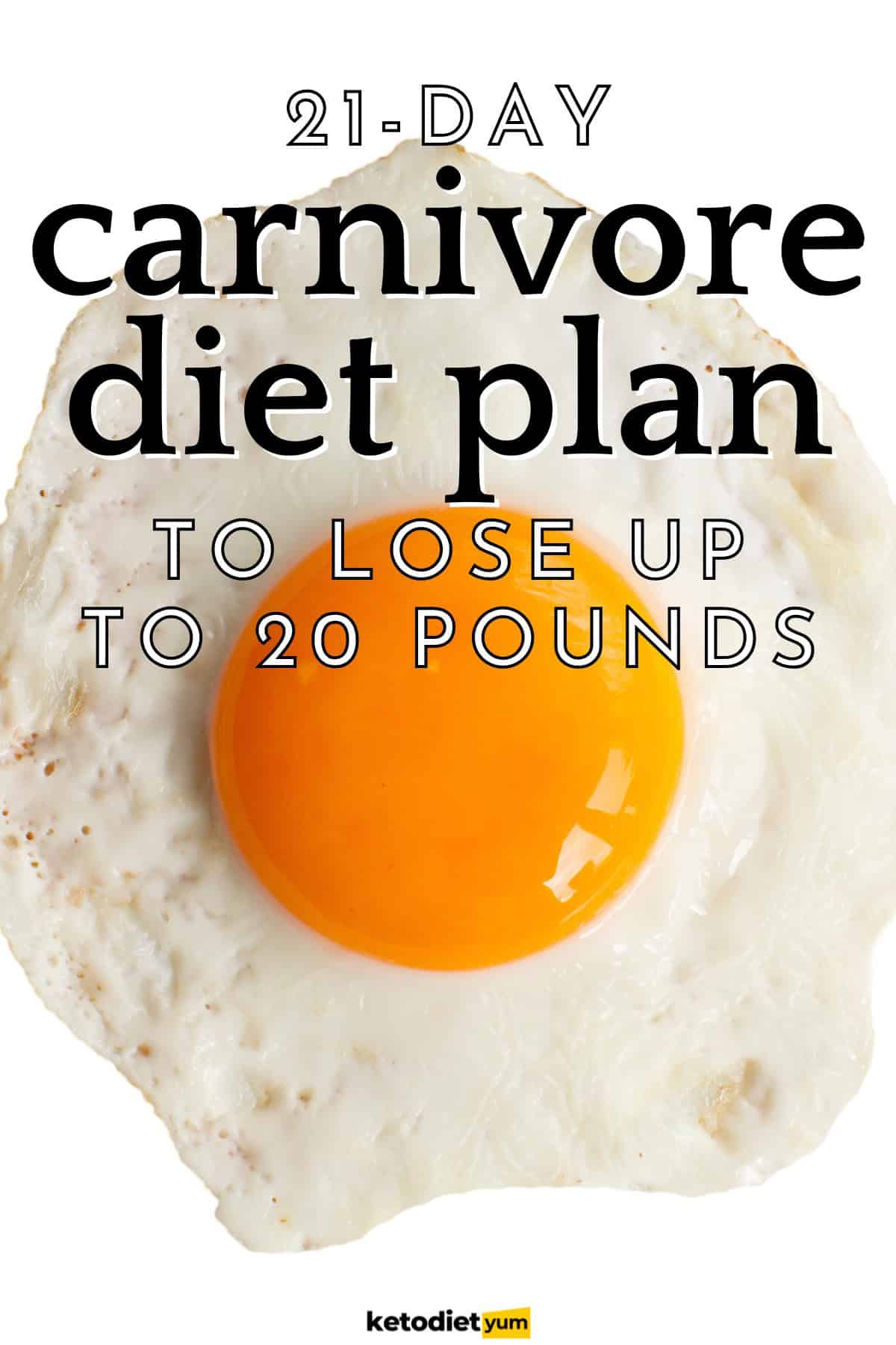 Carnivore Diet For Beginners: Easy Guide & 21-Day Meal Plan - Keto Diet Yum