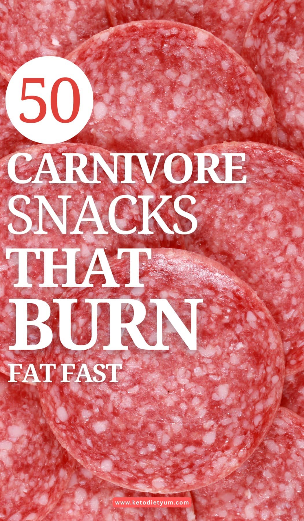 50 Carnivore Snacks That'll Keep You Satisfied Carnivore Snack Ideas