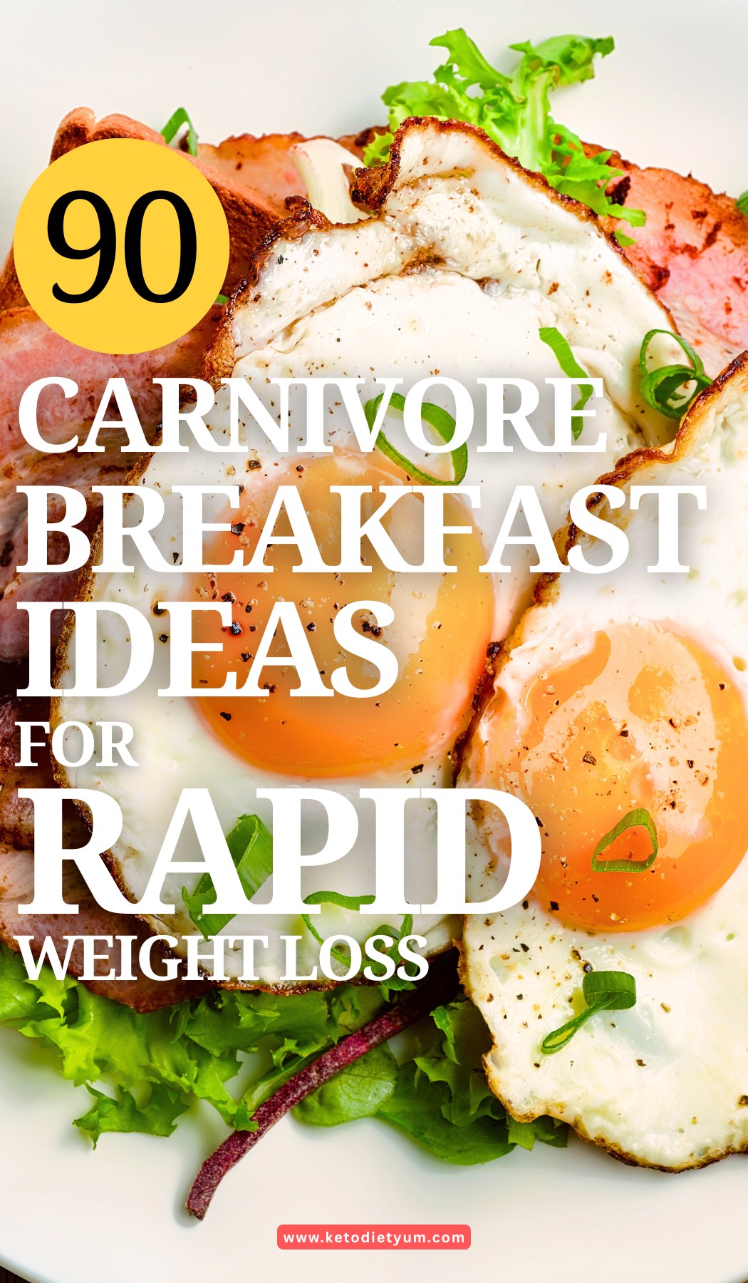 90 Carnivore Breakfast Ideas You’ll Actually Look Forward To (Even on Busy Mornings) 90 Carnivore Breakfast Ideas for Weight Loss