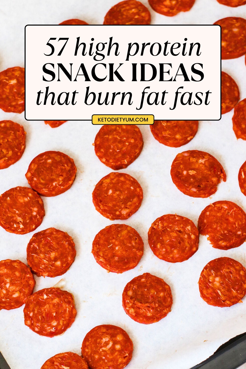 57 High Protein Snack Ideas for Busy Days and Craving Moments 57 High Protein Snacks for Weight Loss and All-Day Energy